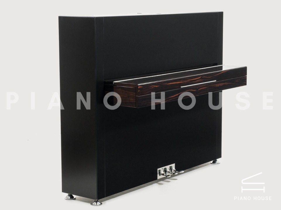 Sauter Pure Basic (Black Matte & Walnut)