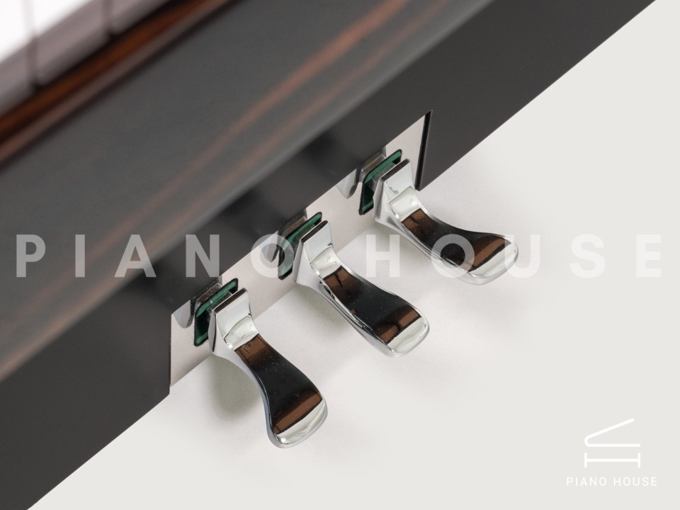 Sauter Pure Basic (Black Matte & Walnut)