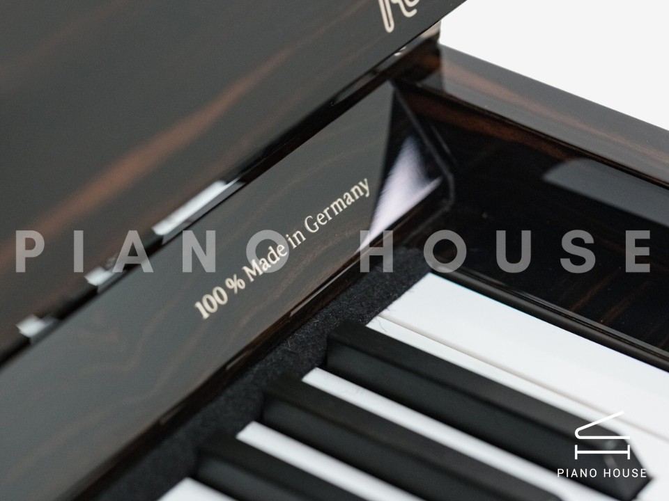 Sauter Pure Basic (Black Matte & Walnut)