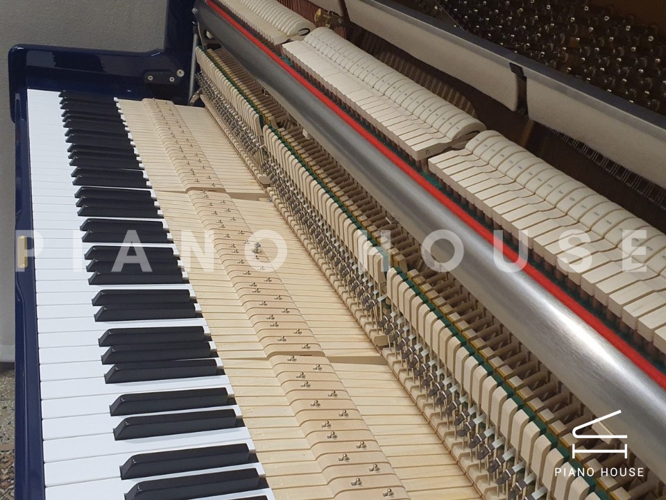 Sauter Ragazza 122 (Blue Polished)