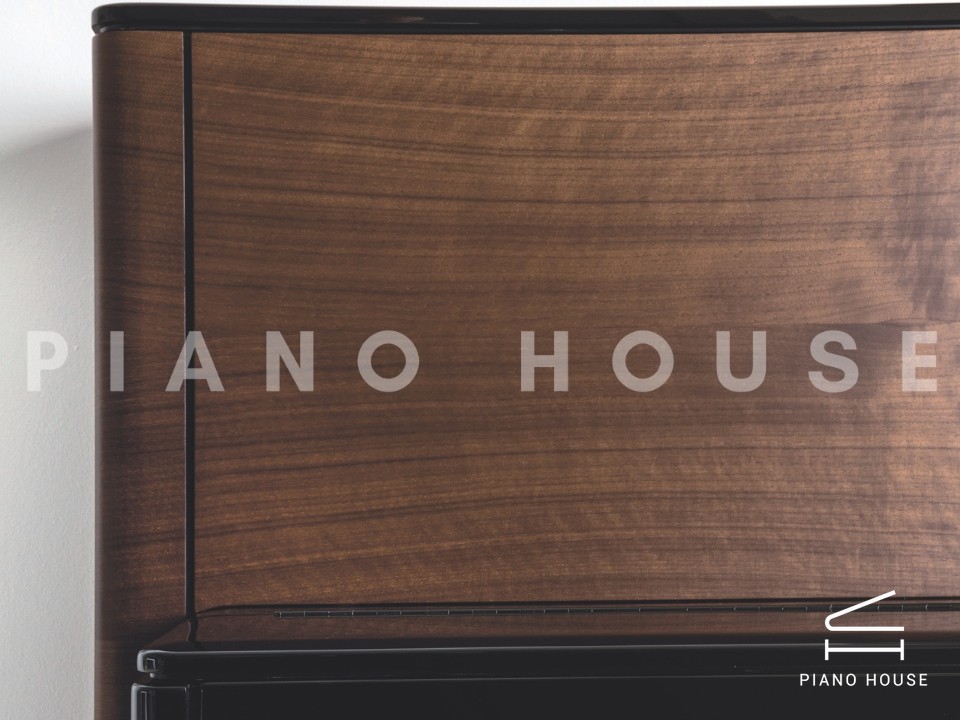 Sauter Rhapsody 122 Upright