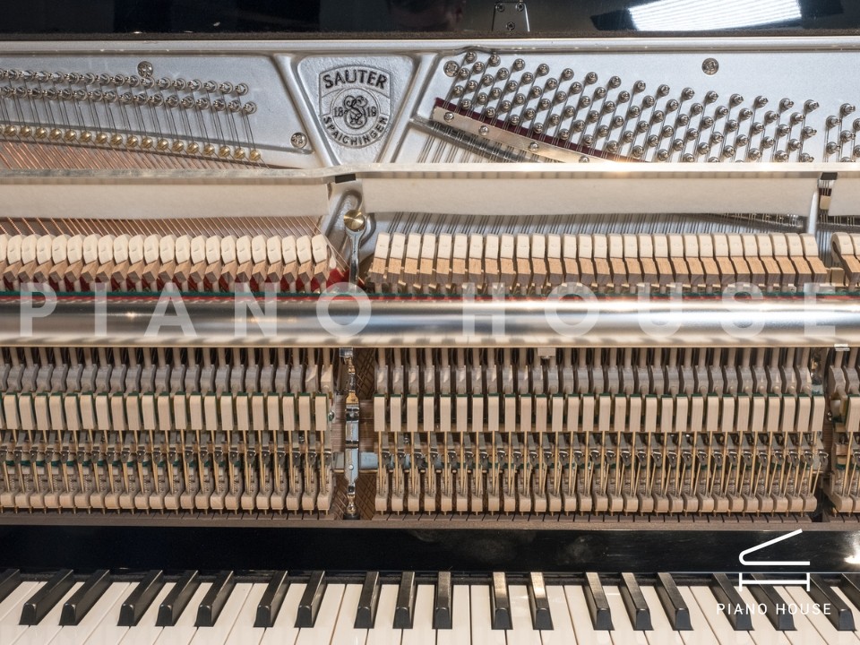 Sauter Rhapsody 122 Upright
