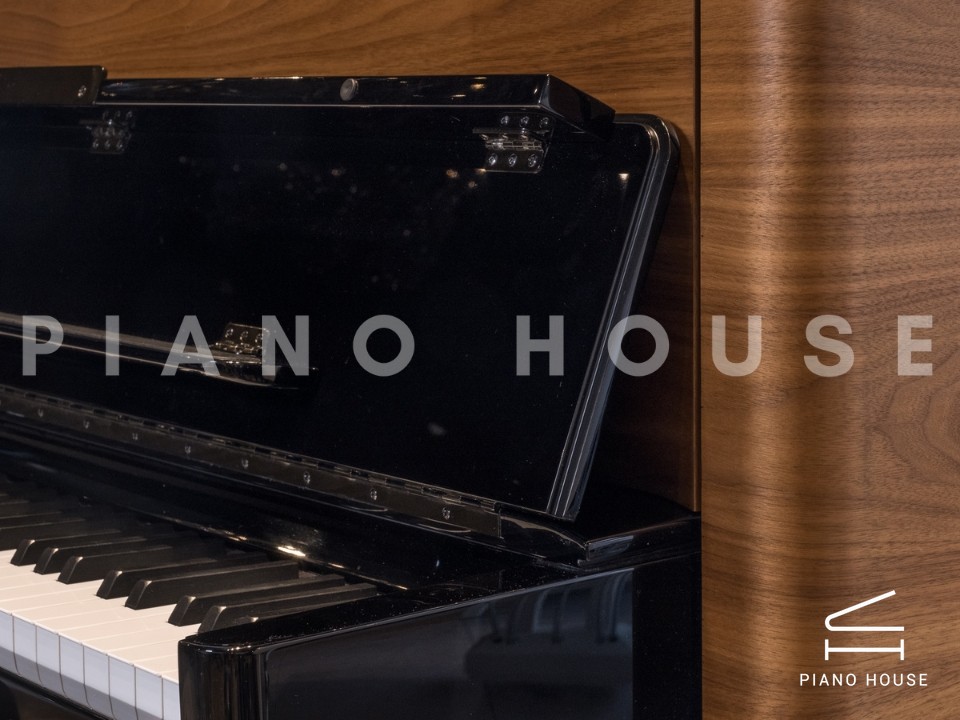 Sauter Rhapsody 122 Upright