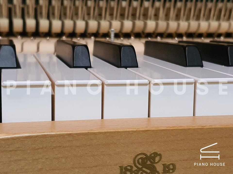 Sauter School Studio 122 (Beech Bright Satin)