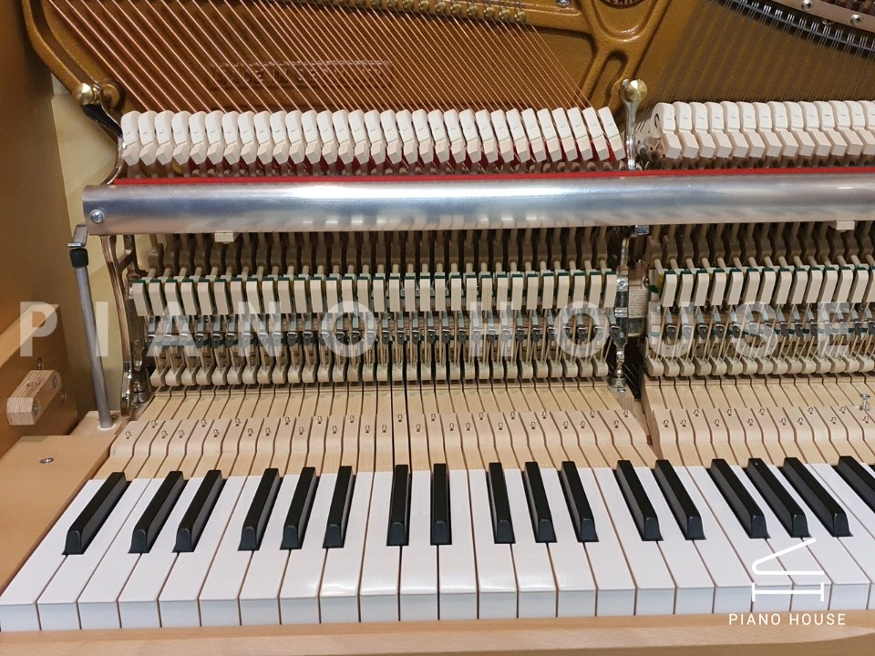 Sauter School Studio 122 (Beech Bright Satin)