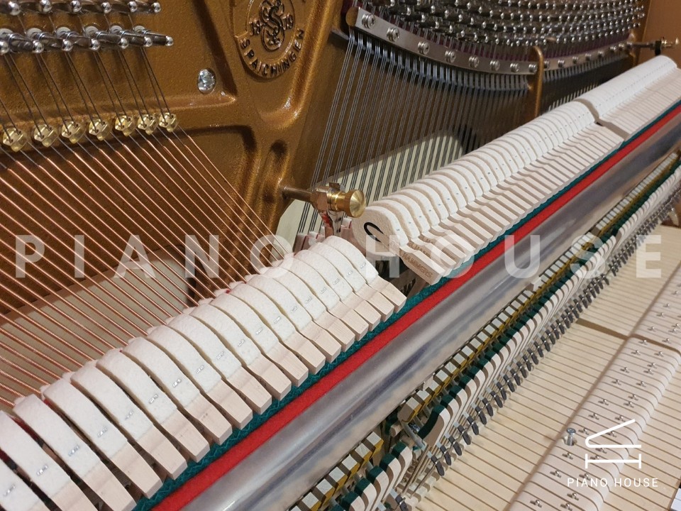 Sauter School Studio 122 (Beech Bright Satin)