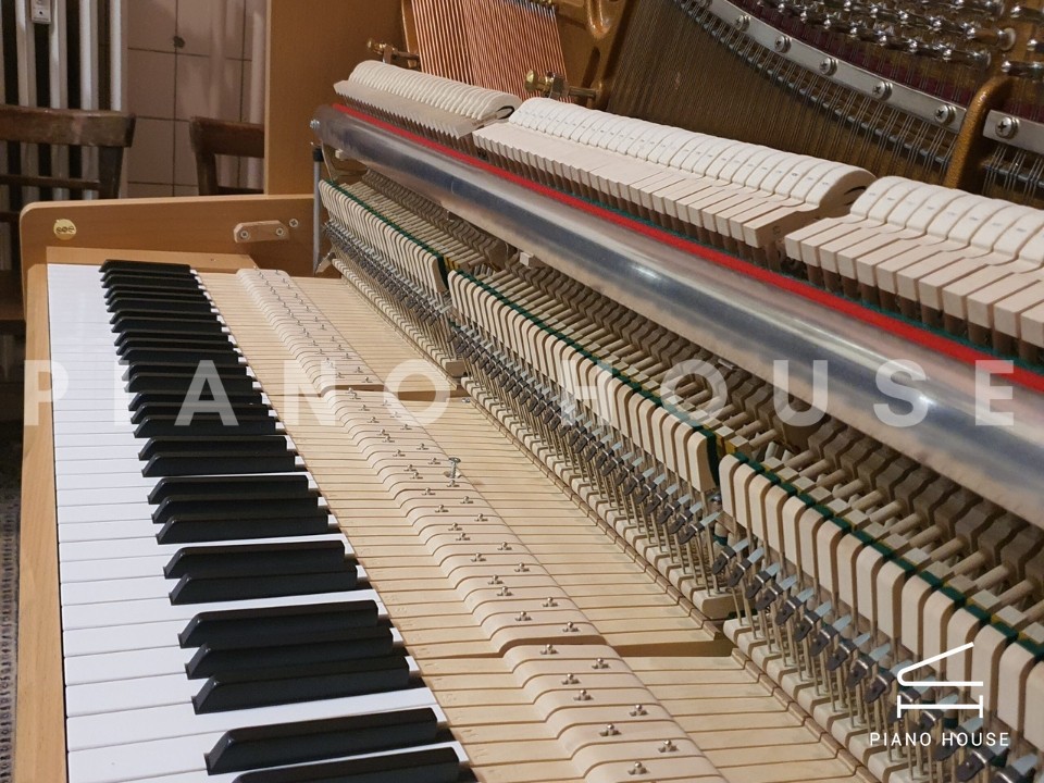 Sauter School Studio 122 (Beech Bright Satin)