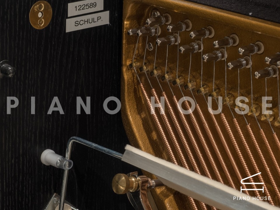 Sauter School Studio 122 (Ash Black Satin)