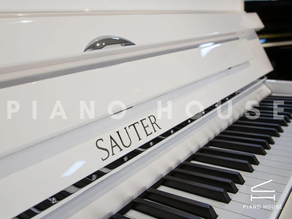 Sauter Vision 116 (White Polished)