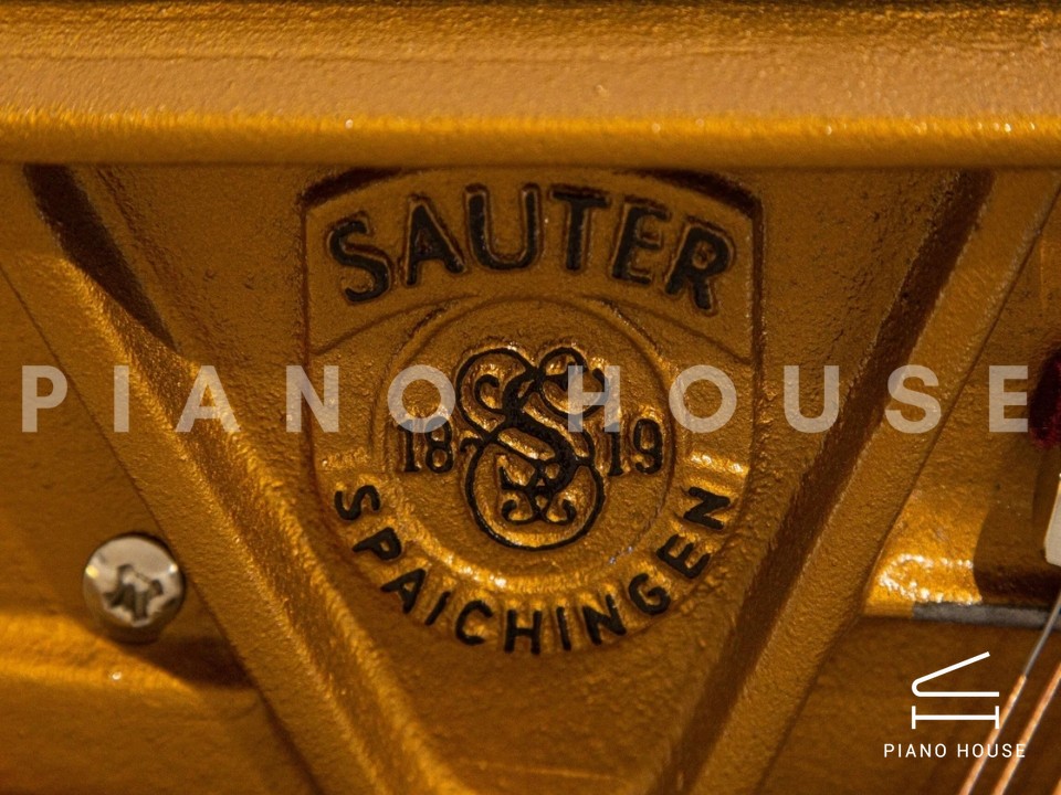 Sauter Vision 116 (White Polished)