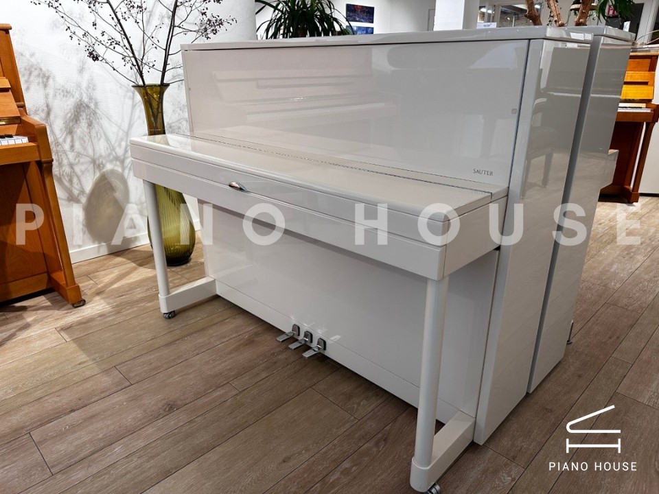 Sauter Vision 116 (White Polished)