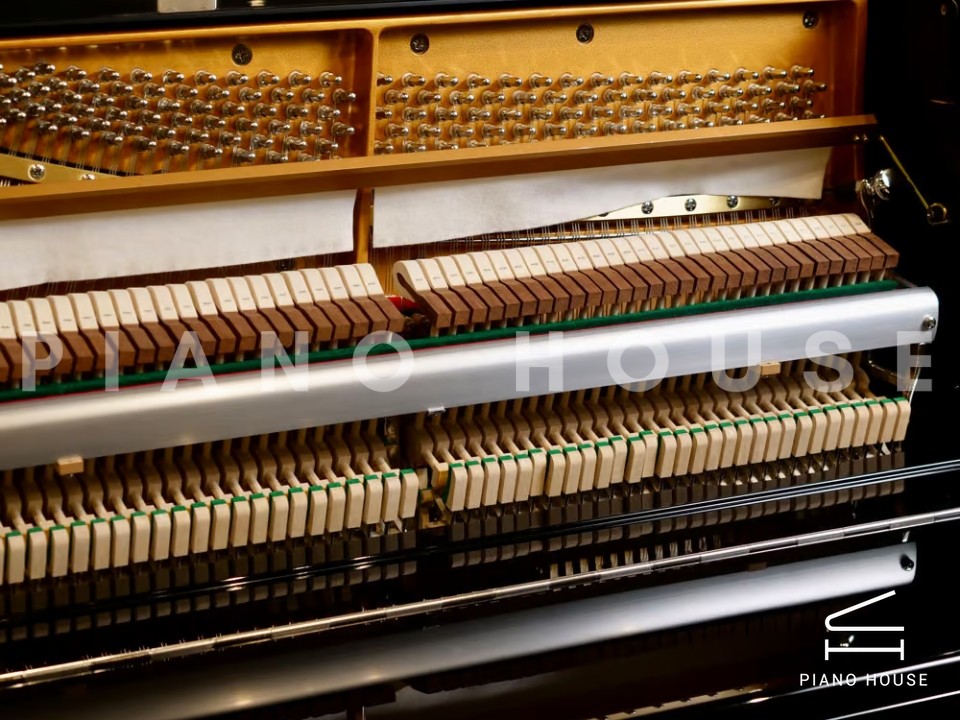 Fridolin Schimmel F116 Tradition (Ebony High Gloss)