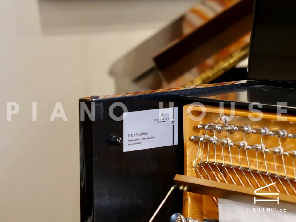 Fridolin Schimmel F116 Tradition (Ebony High Gloss)