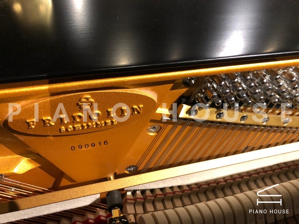 Fridolin Schimmel F121 Tradition (Ebony High Gloss)