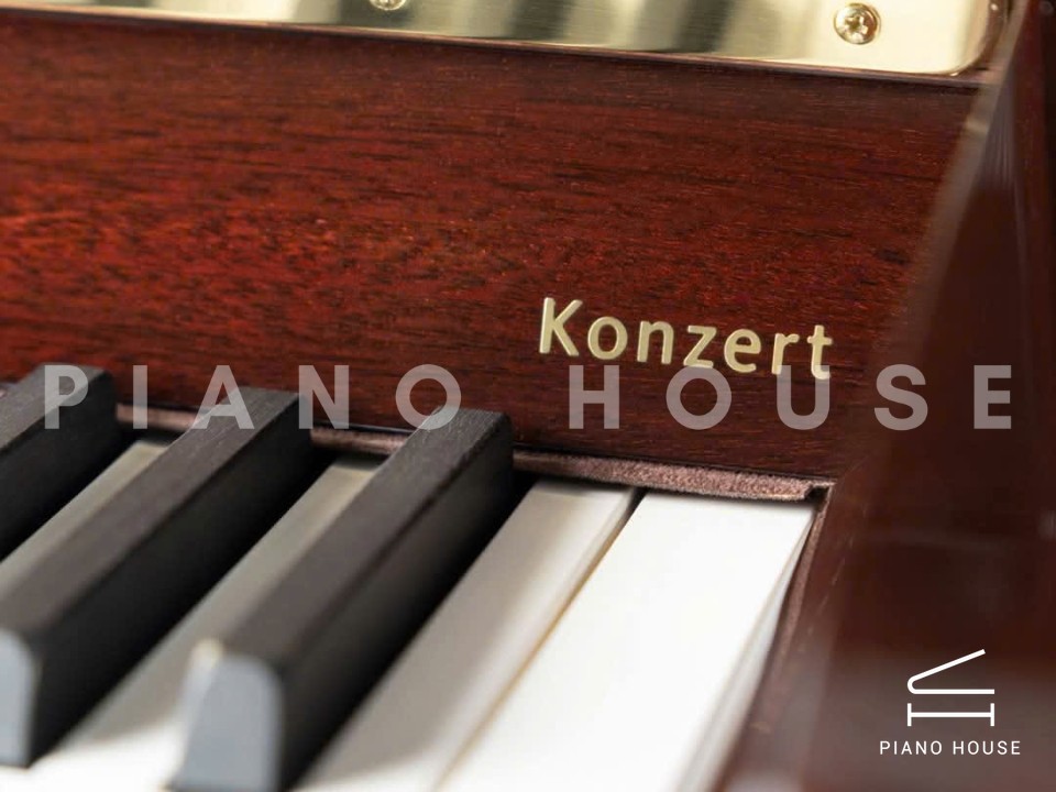 Konzert K132 Tradition (Mahogany Polish)