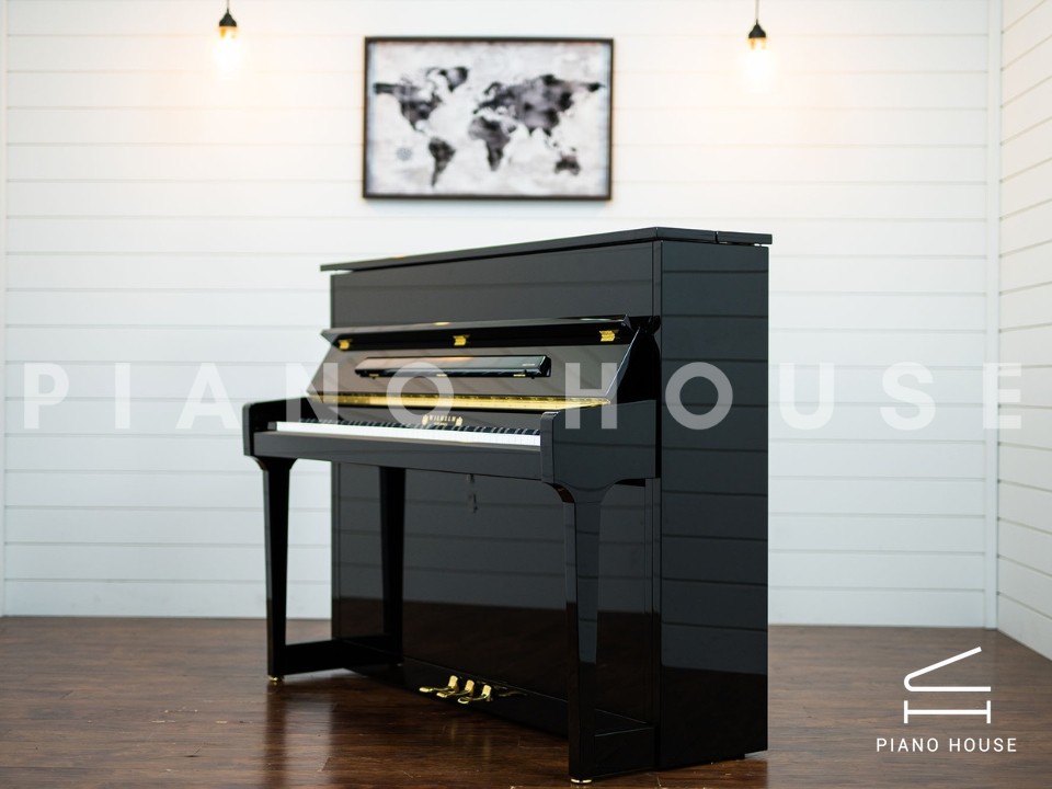 Wilhelm Schimmel W118 Tradition (Ebony High Gloss)