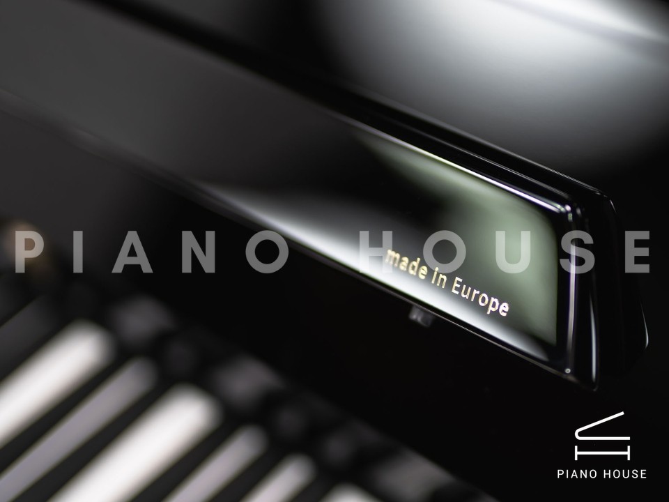 Wilhelm Schimmel W118 Tradition (Ebony High Gloss)