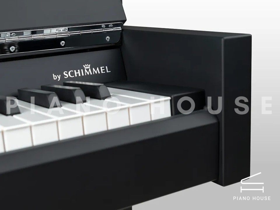 Wilhelm Schimmel W114 Modern Super Matt