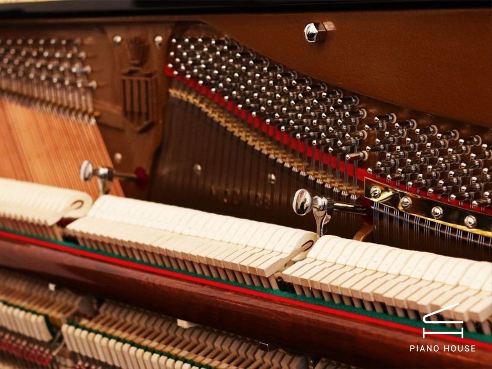 Steingraeber & Söhne 130 T