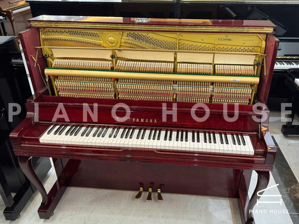 YAMAHA UX300 BiC