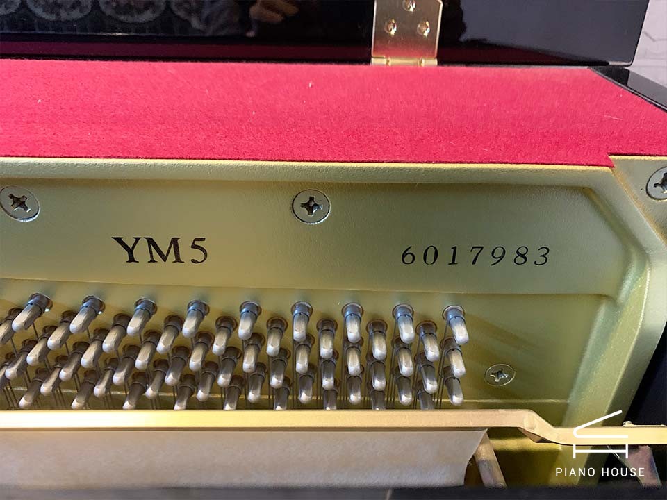 YAMAHA YM5
