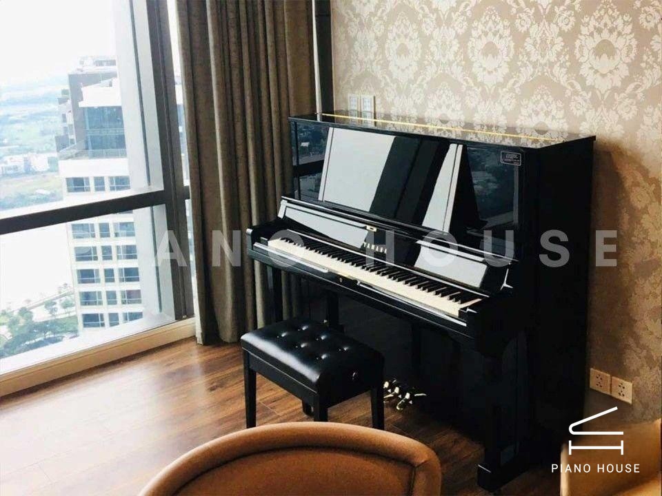 YAMAHA YUS5 PE (new)