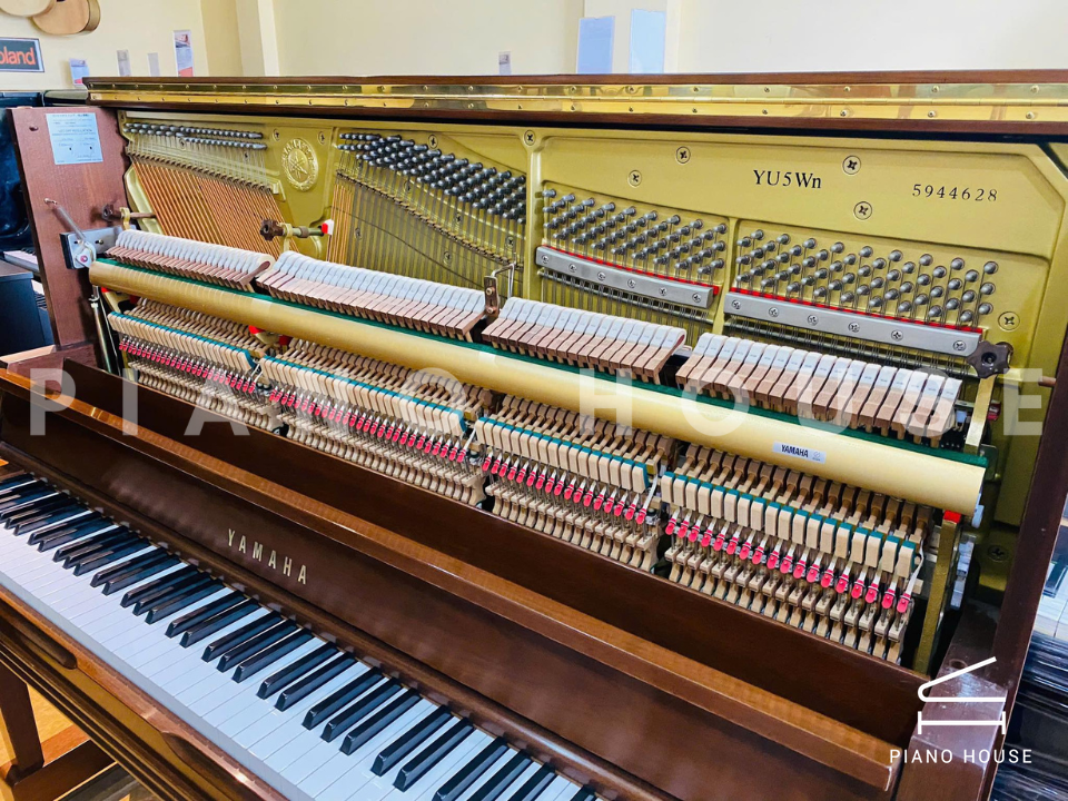 YAMAHA YU5 Wn