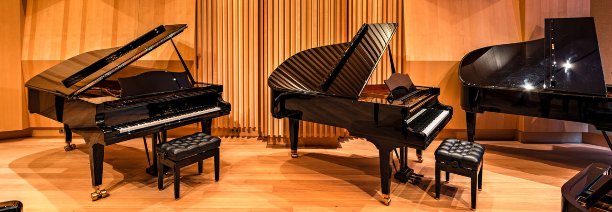cbechstein 1