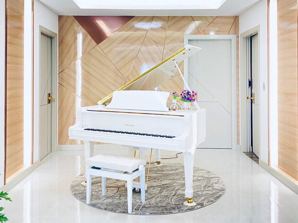 Ritmuller GDRS160 (+Piano Disc)